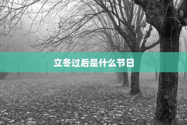 立冬过后是什么节日