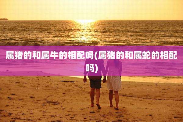 属猪的和属牛的相配吗(属猪的和属蛇的相配吗)
