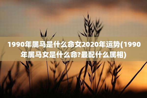1990年属马是什么命女2020年运势(1990年属马女是什么命?最配什么属相)