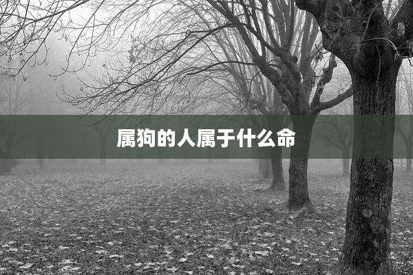 属狗的人属于什么命