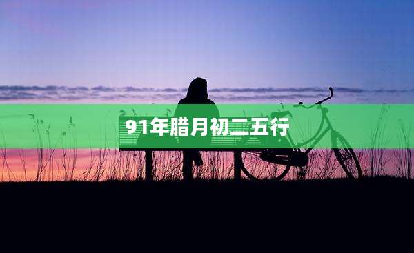 91年腊月初二五行