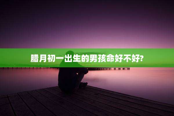 腊月初一出生的男孩命好不好?