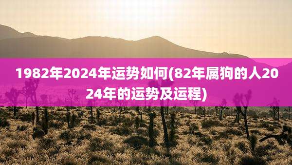 1982年2024年运势如何(82年属狗的人2024年的运势及运程)