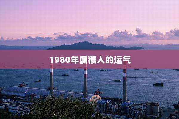 1980年属猴人的运气
