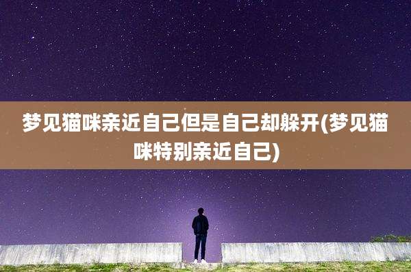 梦见猫咪亲近自己但是自己却躲开(梦见猫咪特别亲近自己)