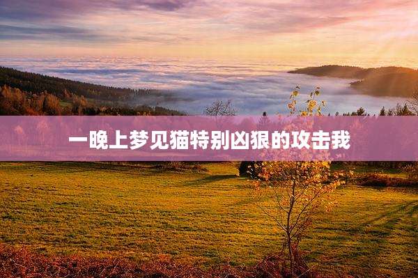 一晚上梦见猫特别凶狠的攻击我