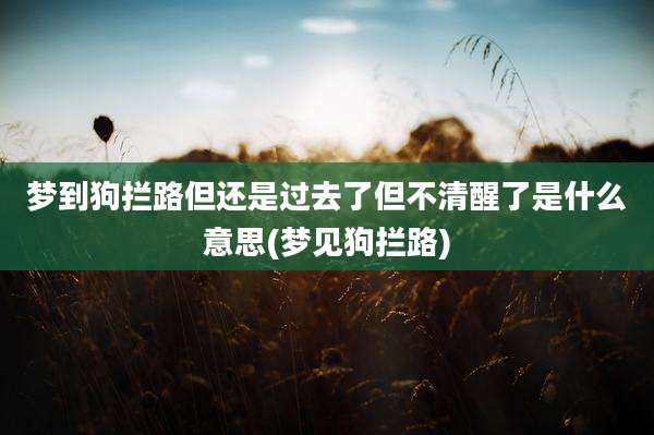 梦到狗拦路但还是过去了但不清醒了是什么意思(梦见狗拦路)