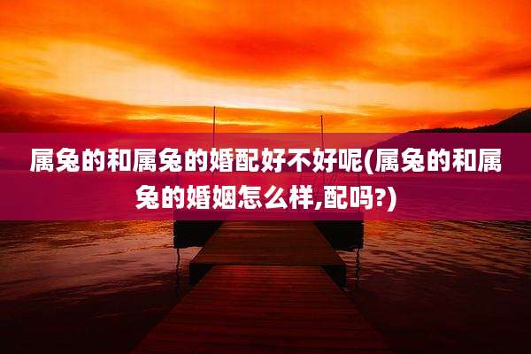 属兔的和属兔的婚配好不好呢(属兔的和属兔的婚姻怎么样,配吗?)