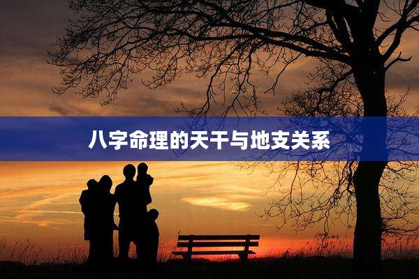 八字命理的天干与地支关系