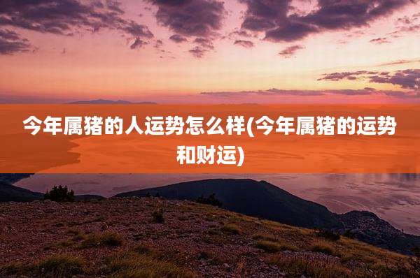 今年属猪的人运势怎么样(今年属猪的运势和财运)