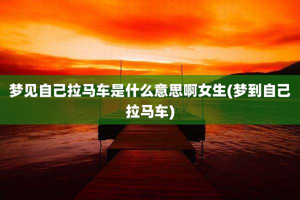 梦见自己拉马车是什么意思啊女生(梦到自己拉马车)