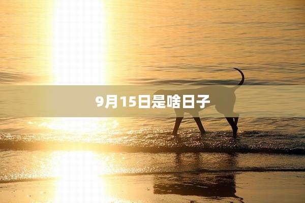 9月15日是啥日子