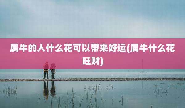 属牛的人什么花可以带来好运(属牛什么花旺财)