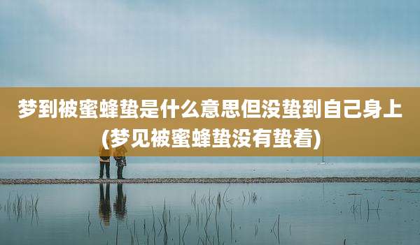 梦到被蜜蜂蛰是什么意思但没蛰到自己身上(梦见被蜜蜂蛰没有蛰着)