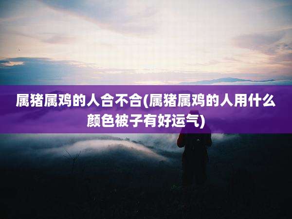 属猪属鸡的人合不合(属猪属鸡的人用什么颜色被子有好运气)
