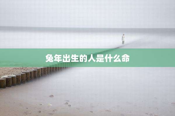 兔年出生的人是什么命