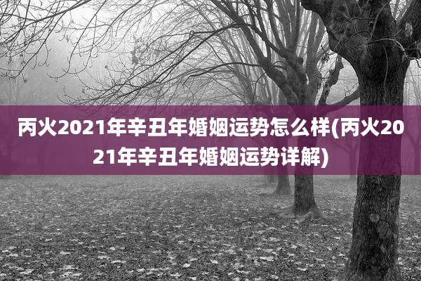 丙火2021年辛丑年婚姻运势怎么样(丙火2021年辛丑年婚姻运势详解)