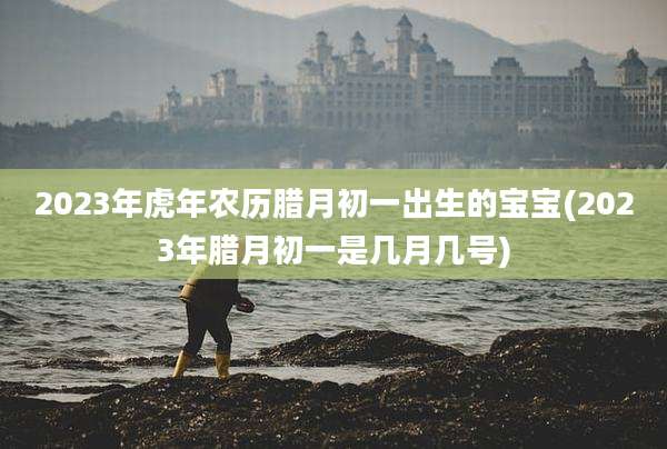2023年虎年农历腊月初一出生的宝宝(2023年腊月初一是几月几号)