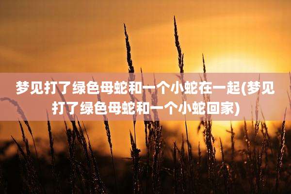 梦见打了绿色母蛇和一个小蛇在一起(梦见打了绿色母蛇和一个小蛇回家)
