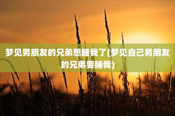 梦见男朋友的兄弟想睡我了(梦见自己男朋友的兄弟要睡我)