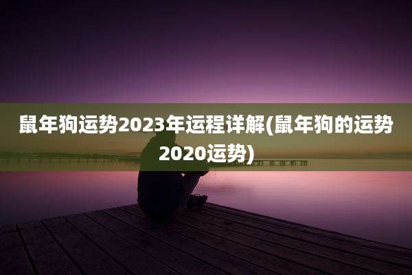 鼠年狗运势2023年运程详解(鼠年狗的运势2020运势)