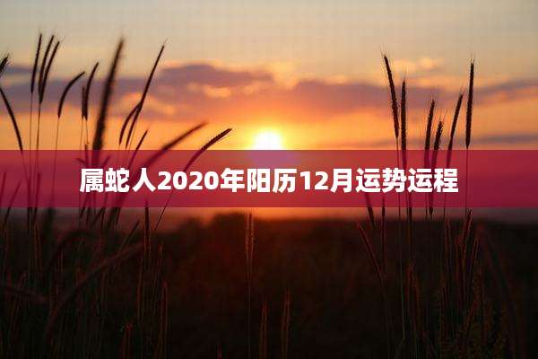 属蛇人2020年阳历12月运势运程