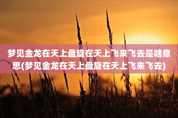 梦见金龙在天上盘旋在天上飞来飞去是啥意思(梦见金龙在天上盘旋在天上飞来飞去)
