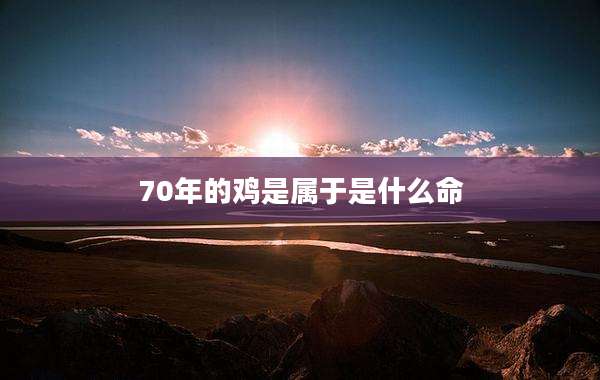 70年的鸡是属于是什么命