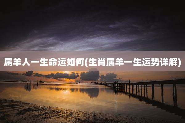 属羊人一生命运如何(生肖属羊一生运势详解)