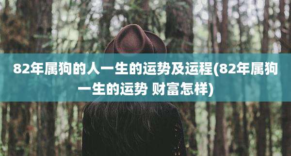 82年属狗的人一生的运势及运程(82年属狗一生的运势 财富怎样)