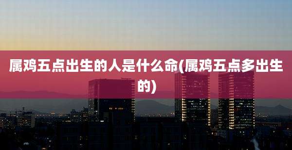 属鸡五点出生的人是什么命(属鸡五点多出生的)