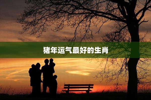 猪年运气最好的生肖