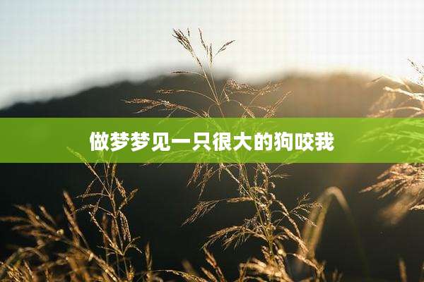 做梦梦见一只很大的狗咬我