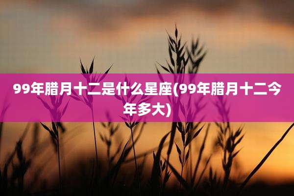 99年腊月十二是什么星座(99年腊月十二今年多大)