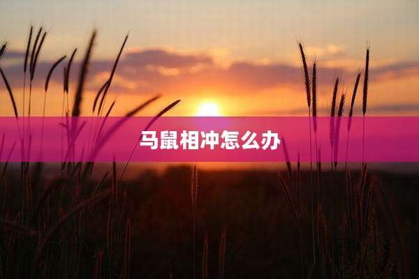 马鼠相冲怎么办