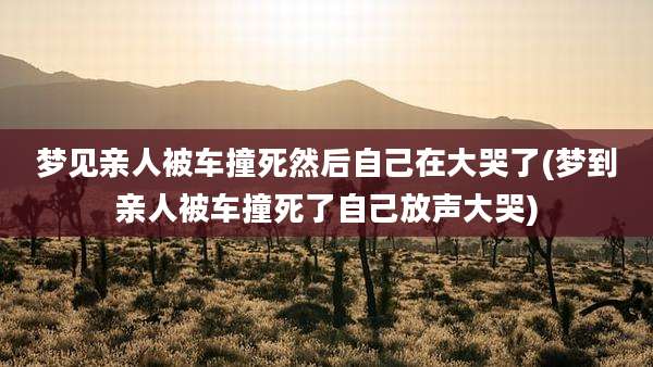 梦见亲人被车撞死然后自己在大哭了(梦到亲人被车撞死了自己放声大哭)