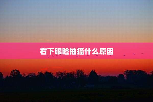 右下眼睑抽搐什么原因
