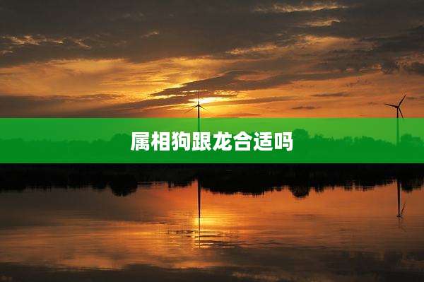 属相狗跟龙合适吗