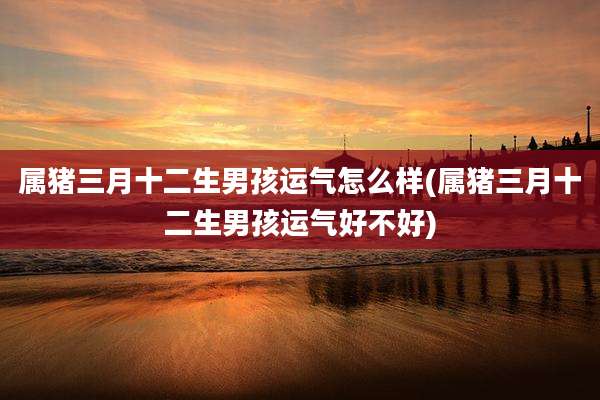 属猪三月十二生男孩运气怎么样(属猪三月十二生男孩运气好不好)