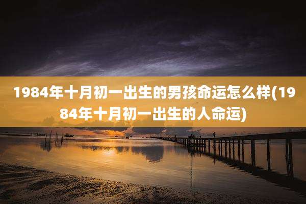 1984年十月初一出生的男孩命运怎么样(1984年十月初一出生的人命运)