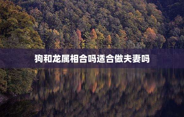 狗和龙属相合吗适合做夫妻吗