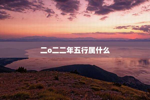 二o二二年五行属什么