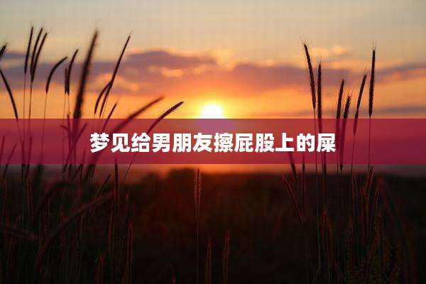 梦见给男朋友擦屁股上的屎