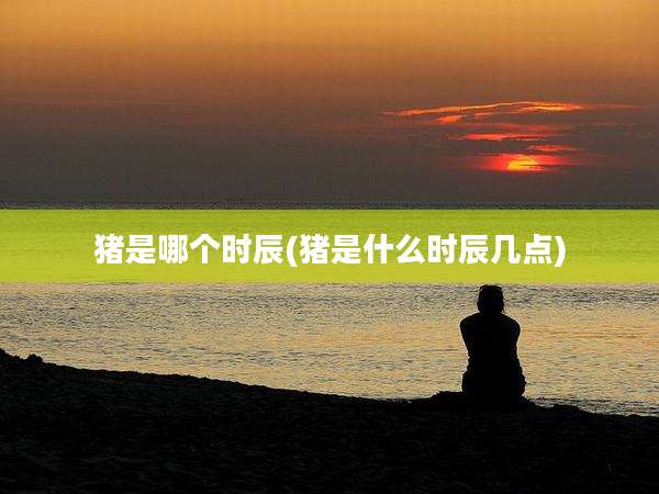 猪是哪个时辰(猪是什么时辰几点)