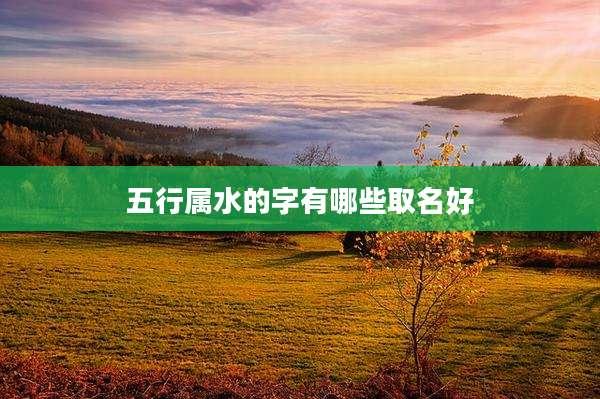 五行属水的字有哪些取名好