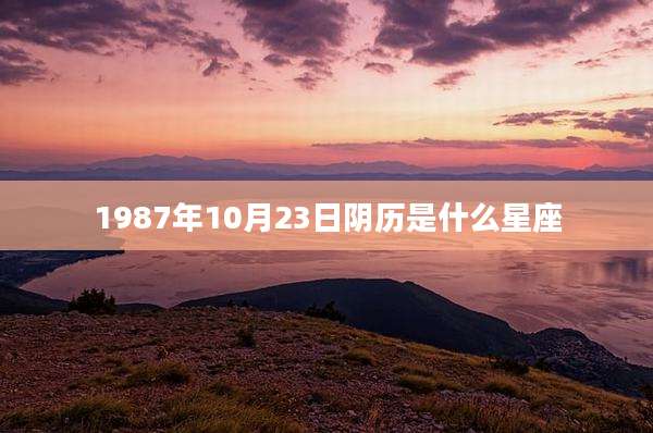 1987年10月23日阴历是什么星座