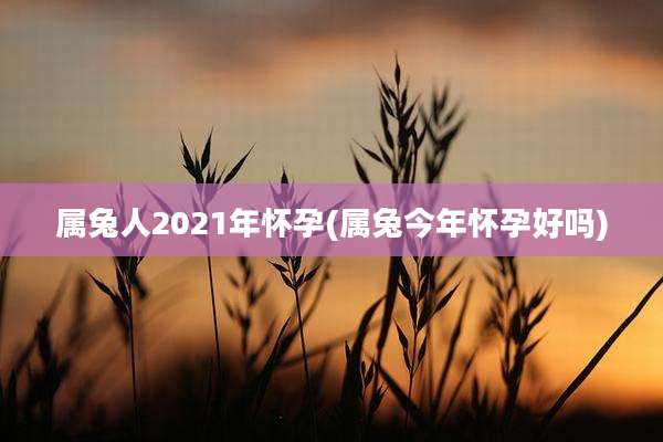 属兔人2021年怀孕(属兔今年怀孕好吗)