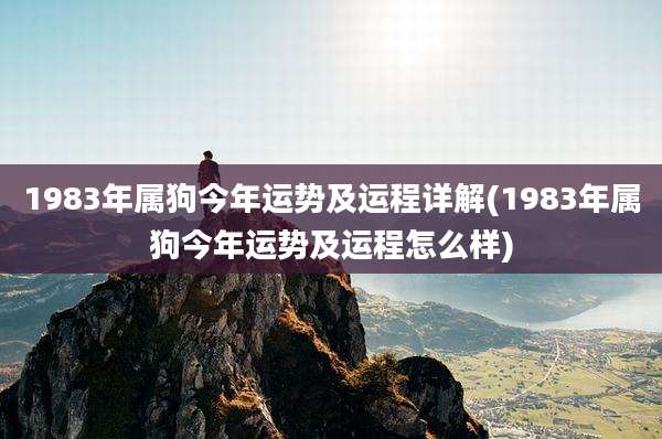 1983年属狗今年运势及运程详解(1983年属狗今年运势及运程怎么样)