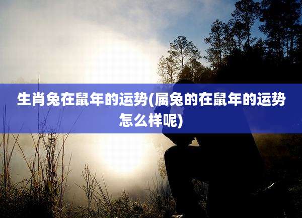 生肖兔在鼠年的运势(属兔的在鼠年的运势怎么样呢)