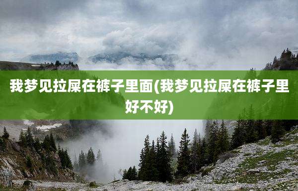 我梦见拉屎在裤子里面(我梦见拉屎在裤子里好不好)